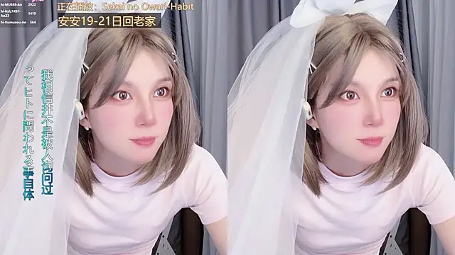 hi-AnAn webcam