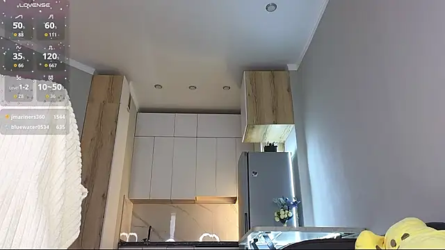 k10ko webcam