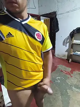 dickbastienweed webcam