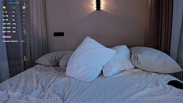 Max_level webcam