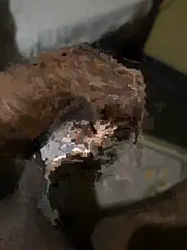 Doni690069 webcam