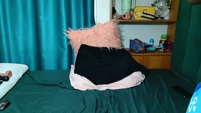 Theecougar webcam