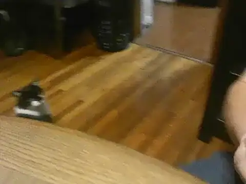 TheOneDonShaun webcam