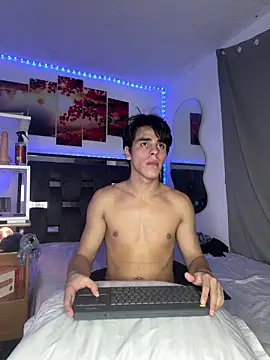 Alex_and_Fabian webcam