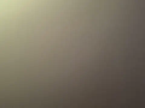 themountainbearmx webcam