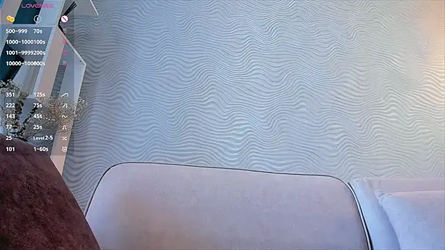 SageFrommer webcam