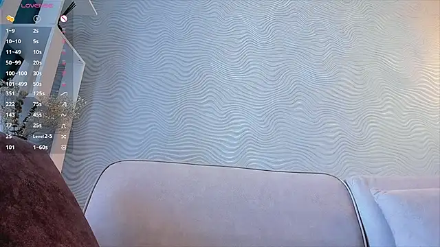 SageFrommer webcam