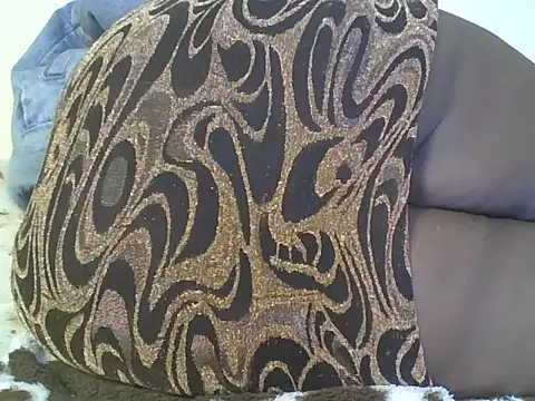 Wokery webcam