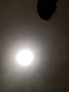 djoo74 webcam