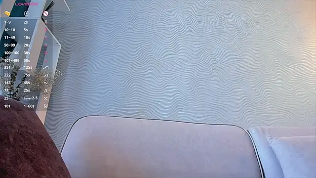 SageFrommer webcam