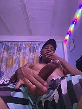 03luihi webcam