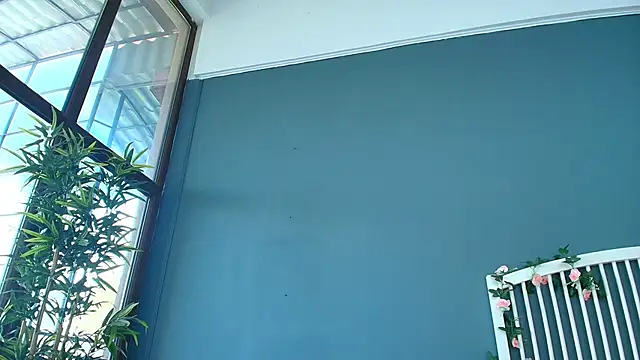 AlicePirs webcam