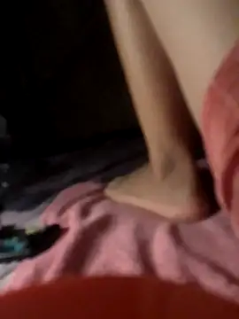 -Tara-a webcam