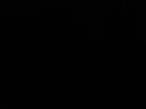Blkstylion webcam