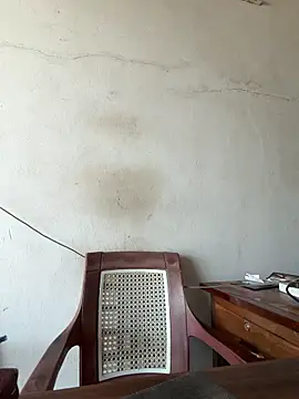 Rabi_BULKBEAST webcam