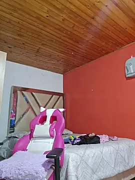 shermie-the-kindof webcam