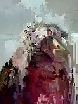 C1N09 webcam
