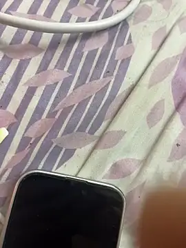 grygj webcam