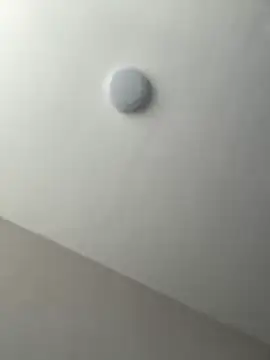 Mrs_Lust