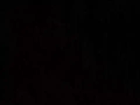 Rooster149628tim webcam