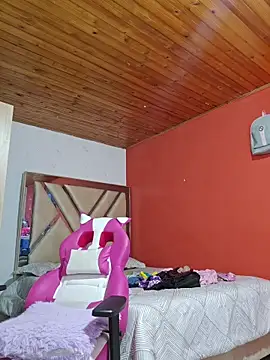 shermie-the-kindof webcam
