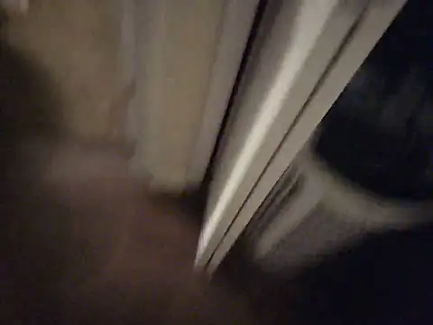 4dice06 webcam