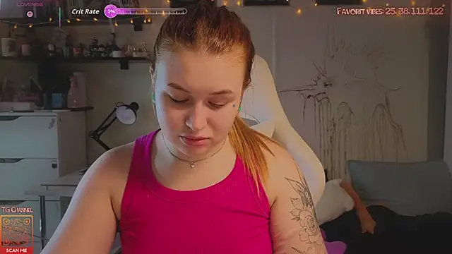 Link_OR webcam