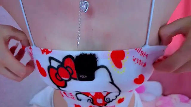 SugarTouch webcam