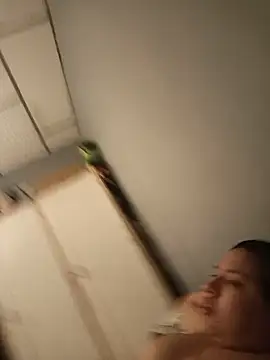 Danelyhit webcam