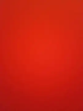 Taylor__Swiftt webcam
