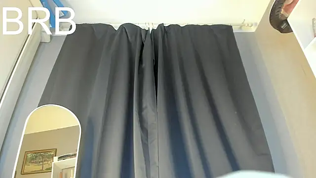 mint_ray webcam