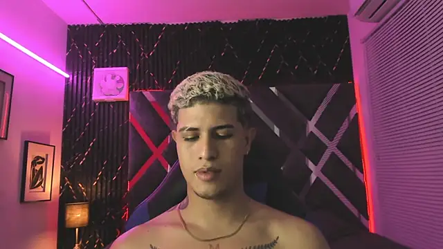 dominic_connor webcam