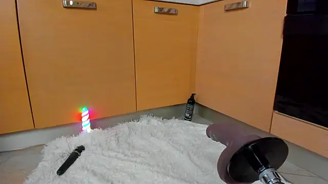 AnnLevine webcam