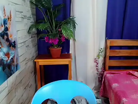 SimiLause webcam