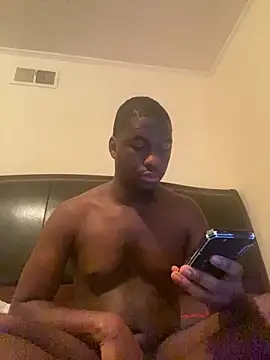 ThickDic28 webcam