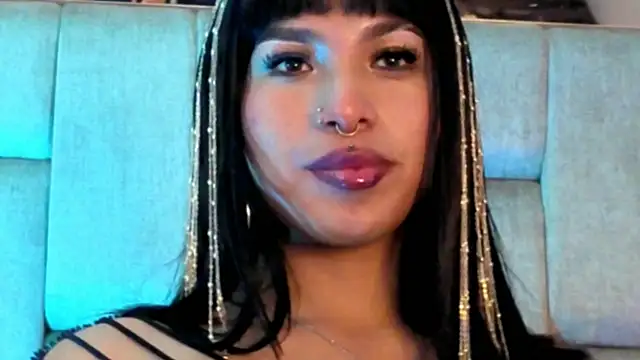MeelFox webcam