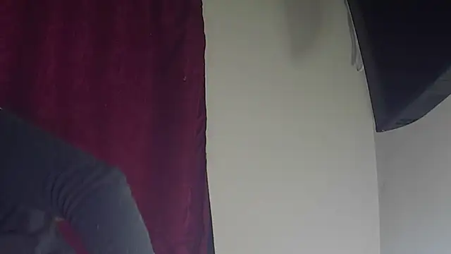 StarElii webcam