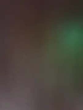 -Straycat- webcam