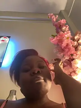 ThickyMel webcam