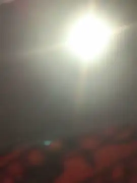 Ldnick69 webcam