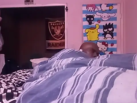 Blkstylion webcam