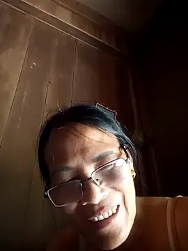 toyo_668 webcam