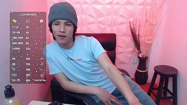 Stich_23 webcam
