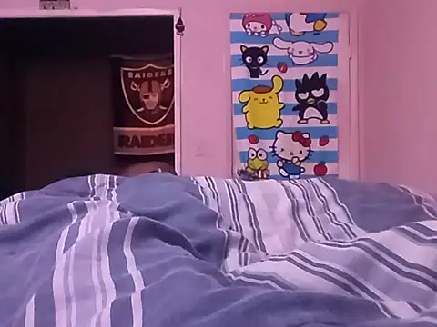 Blkstylion webcam