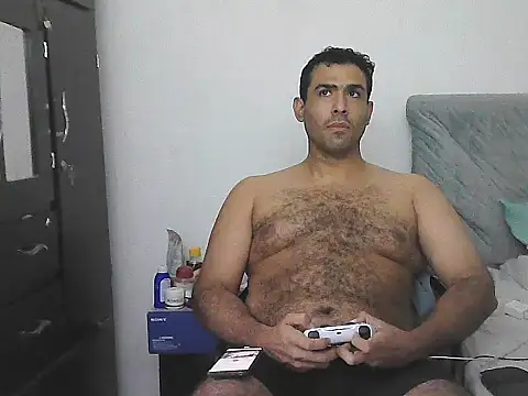 IronSideBear webcam