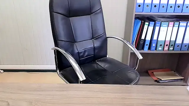 Evasionee webcam