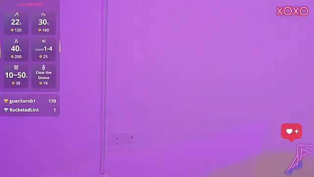 MoliBunny webcam