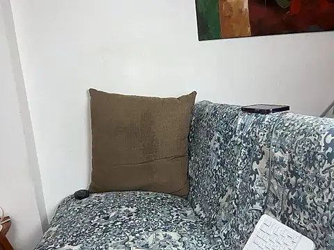 velvetvista webcam