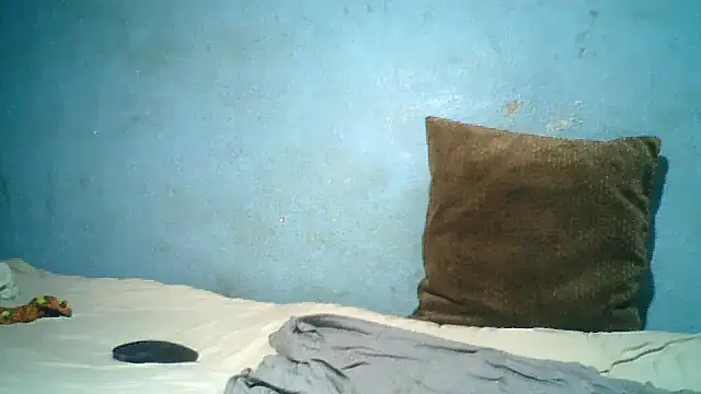 little__joy webcam