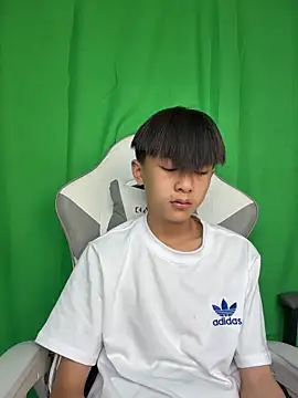 DD-101 webcam